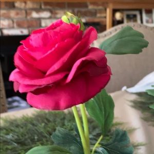 Meet your Posher, Sylvia